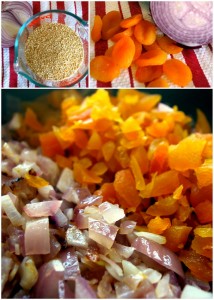 Diced Apricots and Onions