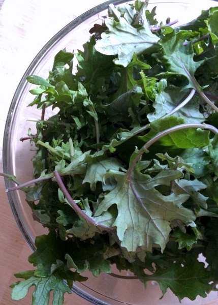 Raw kale added to Hungarian Pasta with Cabbage Dish