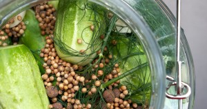 Real Food Fermented Kitchen - Pickled Cucumbers