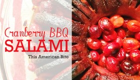 Cranberry BBQ Hasselback Salami