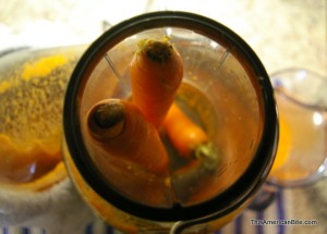 Carrots in a juicer